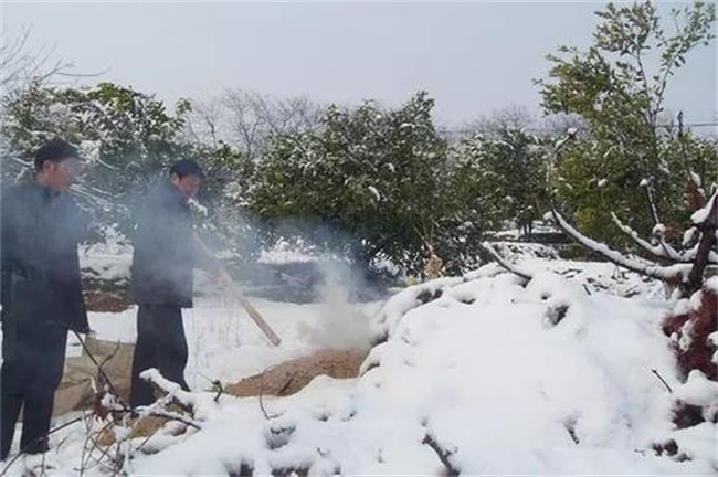 果树叶面喷肥