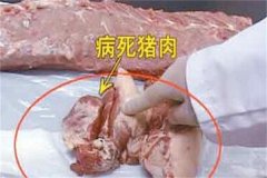 如何识别病死猪肉、注水猪肉和＂瘦肉精＂猪肉