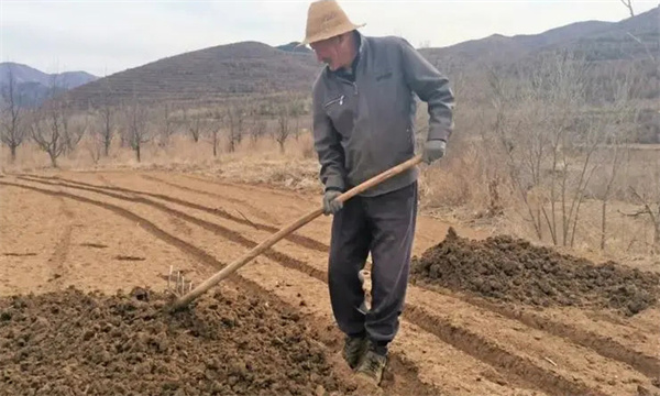 整地与施肥