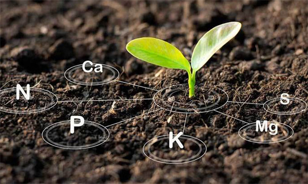 因地、因作物施肥