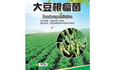 大豆根瘤菌的使用方法 使用大豆根瘤菌注意什么