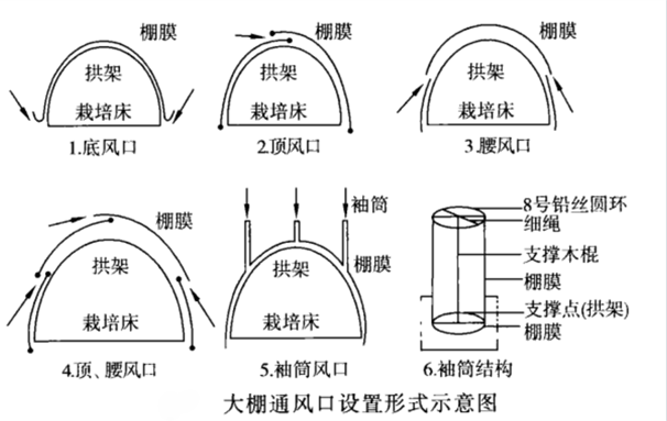 塑料大棚设置通风口