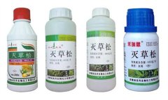 三棱草用什么除草剂防治最好