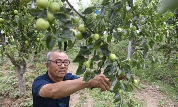 提高结果率