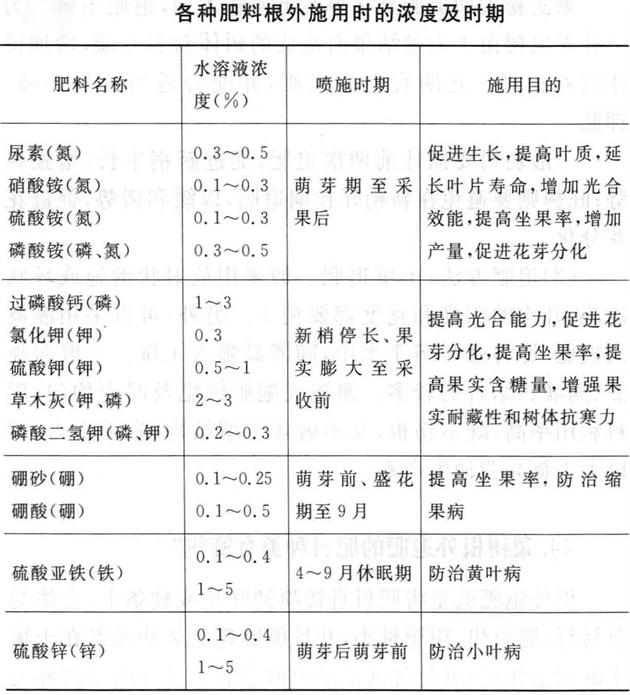 梨树根外追肥的肥料种类