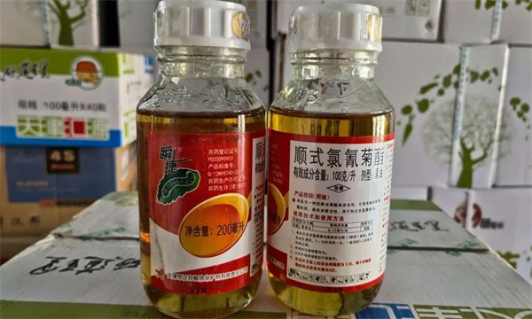 顺式氯氰菊酯对人的危害