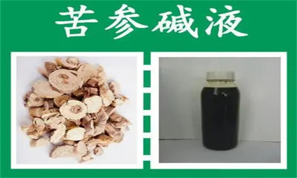 使用苦参碱农药注意事项