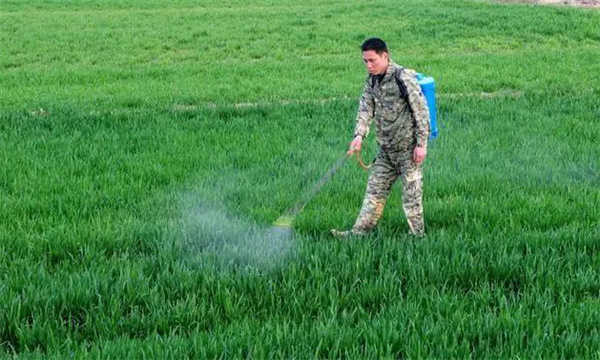 兑药方法正确，用药适量