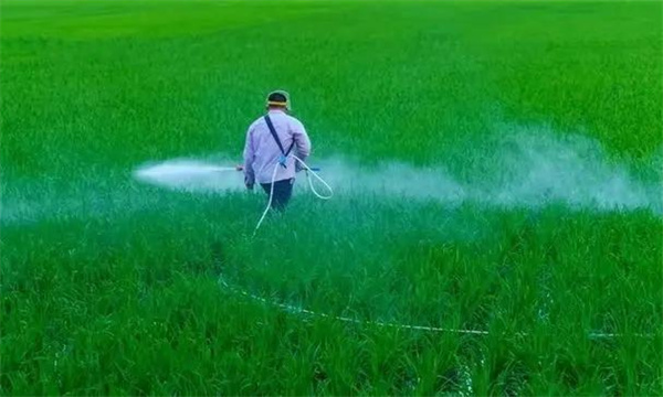 哪些情况需要使用植物生长调节剂