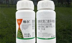 氯氟吡氧乙酸除草剂怎么使用 要注意哪些问题？