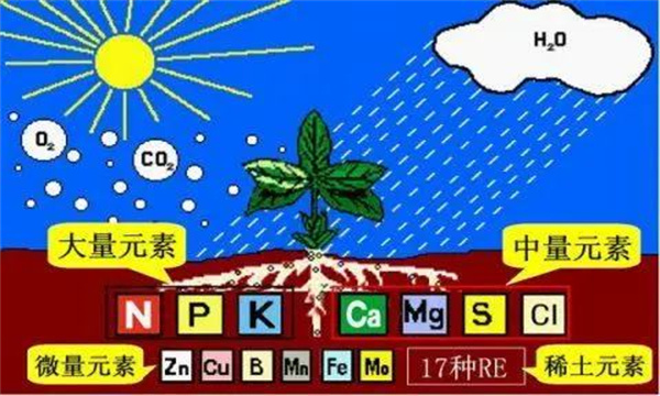 改良和培肥土壤