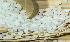 大米的结构与营养 白米胚芽米糙米发芽米的差异