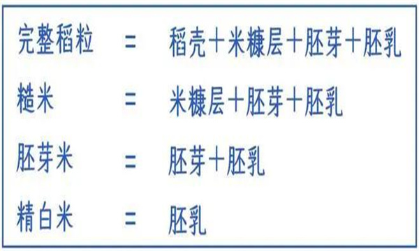 白米、胚芽米、糙米、发芽米的差异