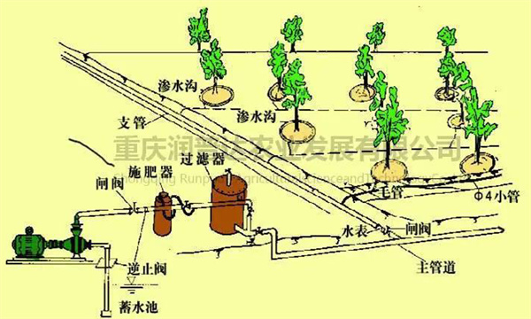 微灌系统由哪些部分组成