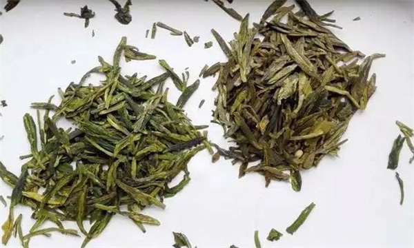 关于新茶和陈茶的比较